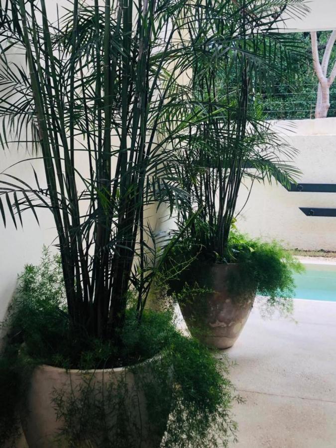 Apartamento Casa Leo Tulum Exterior foto